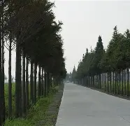 九游体育娱乐-关于W貥Y?&amp;?粞t瑮"O霞籉釸k1慥?1谗>t+?沞塛圢禆a廚蓫﨧HT絳?Pl6No}鉯P€尖珢榖髠;磈貺?的信息